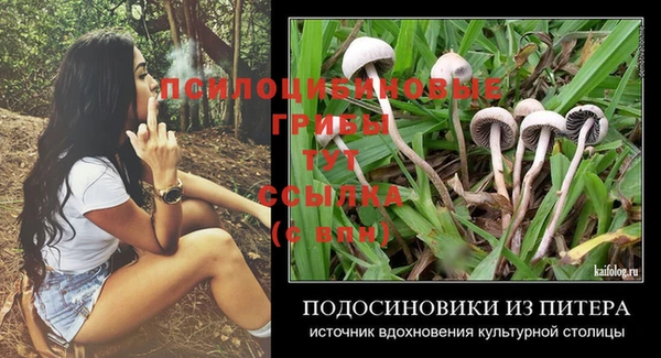 соль ск Нефтекумск
